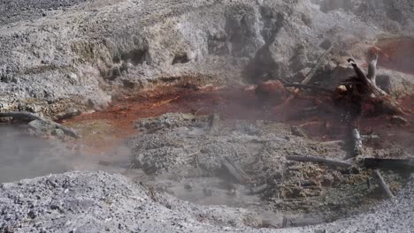 black pit spring in yellowstone