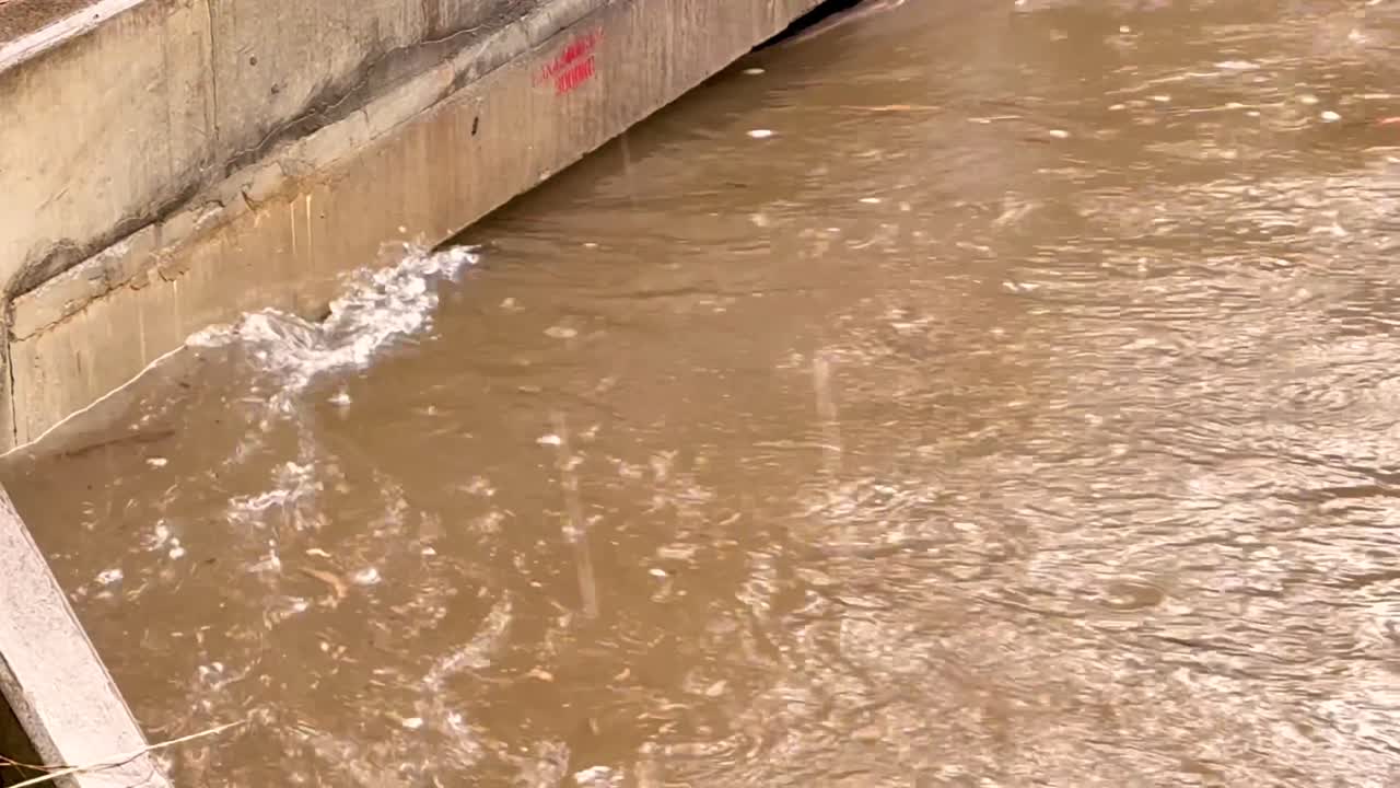 Experience the powerful rush of muddy creek water flowing swiftly after heavy rainfall. This vision captures the dynamic force of nature within an urban environment