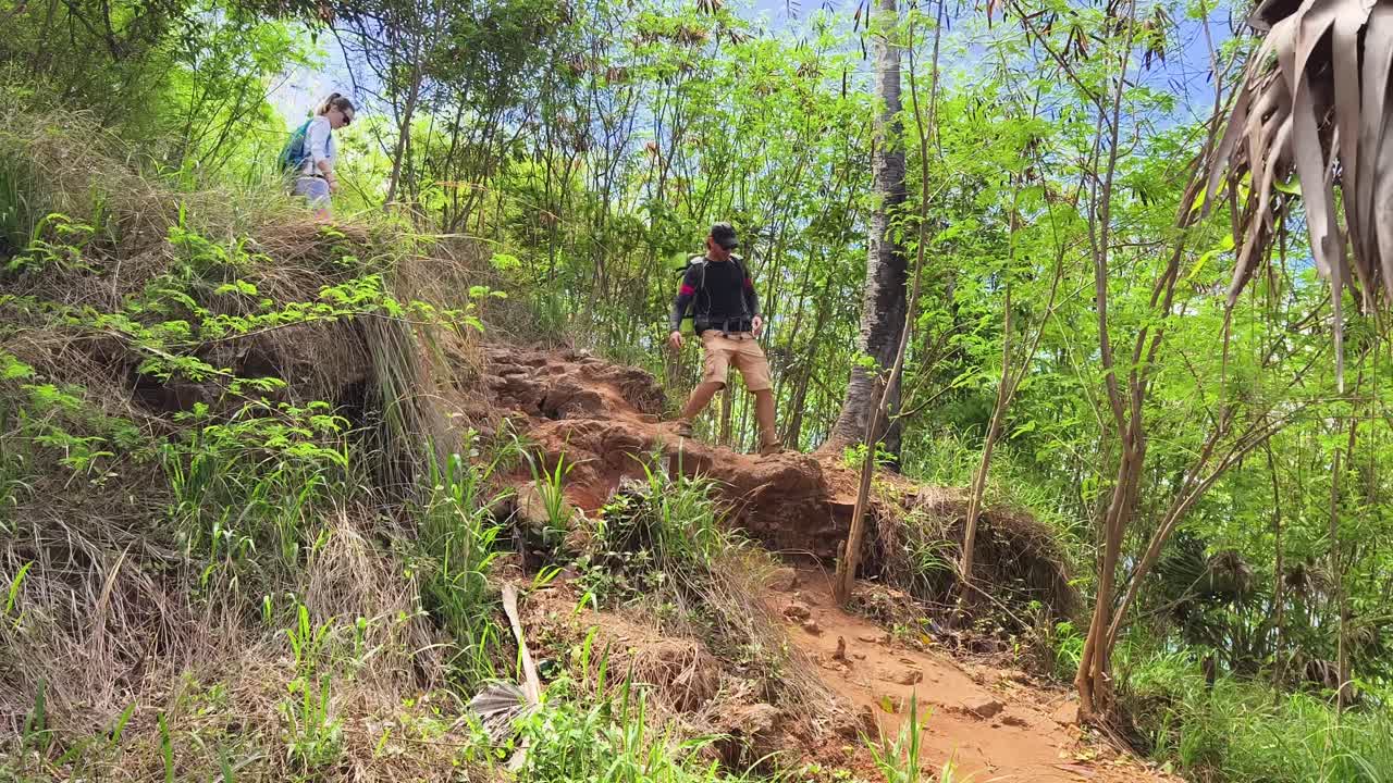 Hikers Climbing a Rocky Trail in a Forest