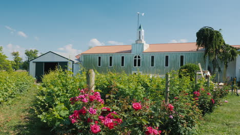 a large agricultural hangar with roses in the foreground and a small wind generator in the back grap