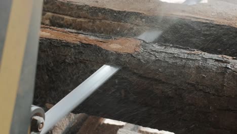 primer plano de un tronco de pino cortado en una máquina de aserrar en una fábrica de producción de madera. procesamiento y corte de material de madera en un aserradero. proceso de fabricación en un aserrador de madera. aserrar maderas en una máquina eléctrica