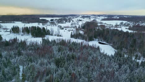 Luftdrohne-Mit-Vorwärtsbewegung-über-Schneebedeckte-Ebenen-Neben-Nadelwäldern-An-Einem-Kalten-Wintertag