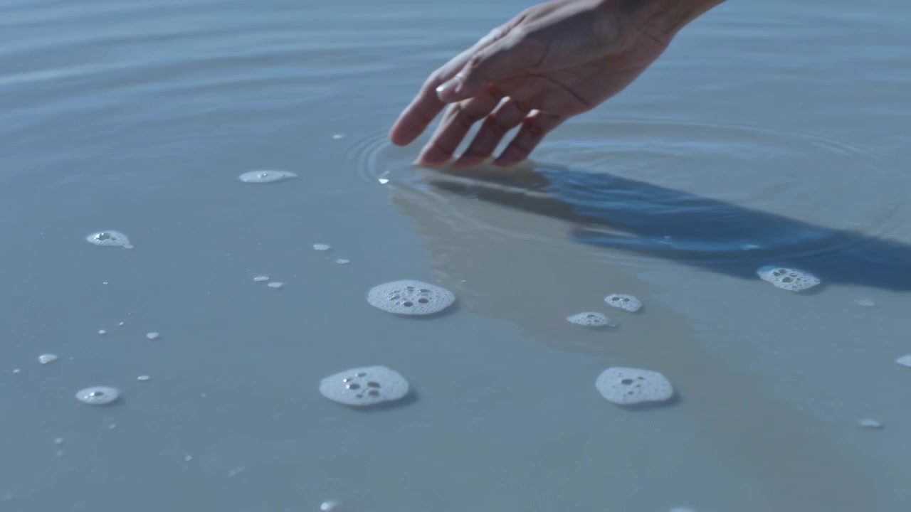 青い袖の右手が浅瀬の水面をかすめ、スカシカシパンに触れる。コピースペース