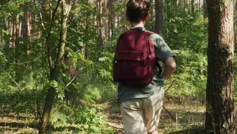 dos niños en el bosque.