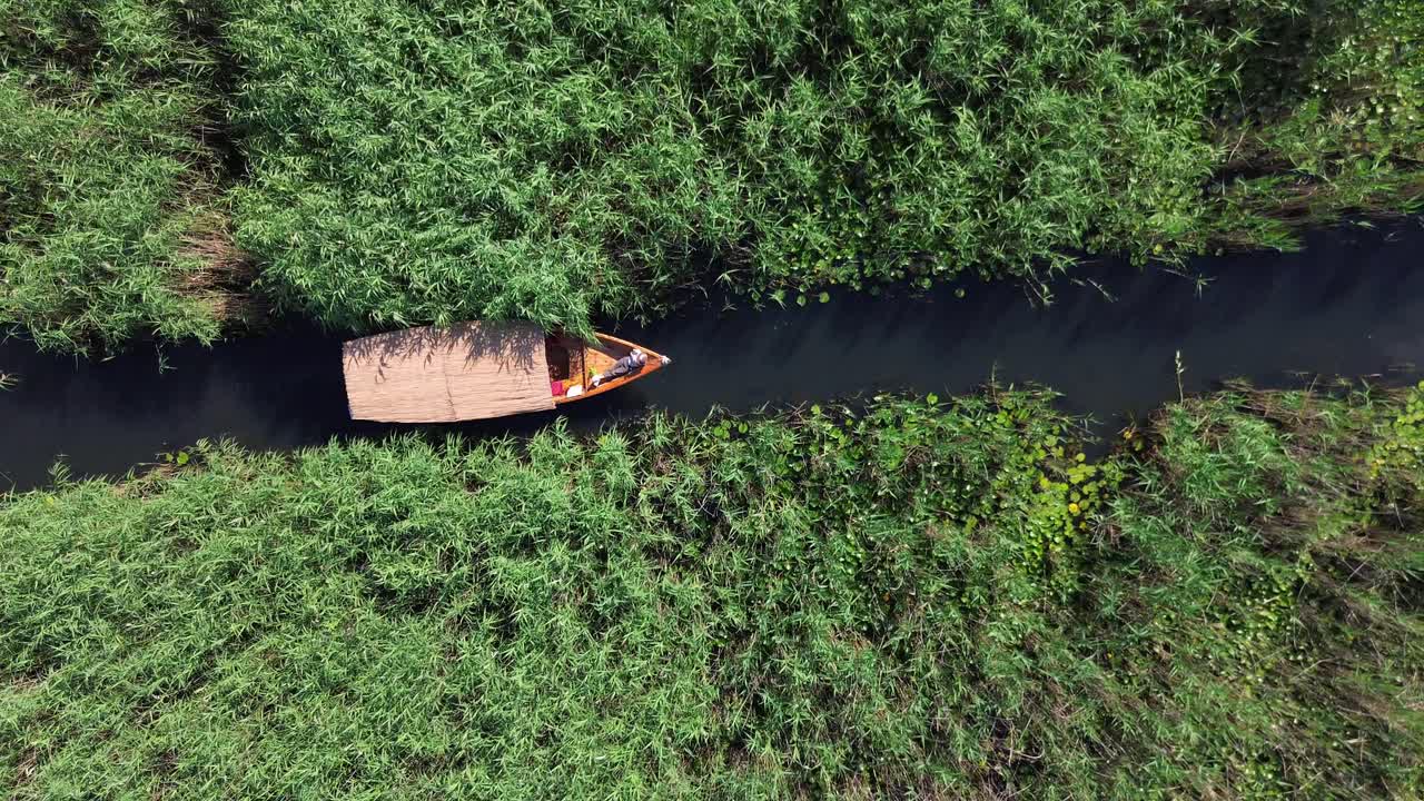 A boat tour on Lake Skadar National Park, travelling along narrow channels through marsh willows, aquatic vegetation, Aerial
