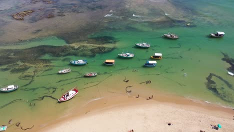vista aérea de salvador, bahía, brasil. paisaje panorámico. destino de viaje tropical. faro marítimo. ciudad histórica, salvador, bahía, brasis. paisaje aéreo de la ciudad costera. vida de playa, salvadoreño, bahía.