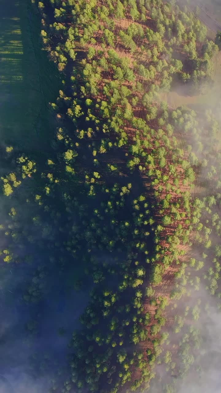 Vista aerea su un mare di nuvole e montagne verdi durante il tramonto a Gran Canaria, Isole Canarie