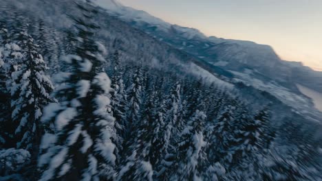 Fpv-Vuelo-Con-Curvas-Sobre-Coníferas-Cubiertas-De-Nieve-En-Las-Montañas-De-Noruega-Con-Lago-Congelado-En-El-Valle