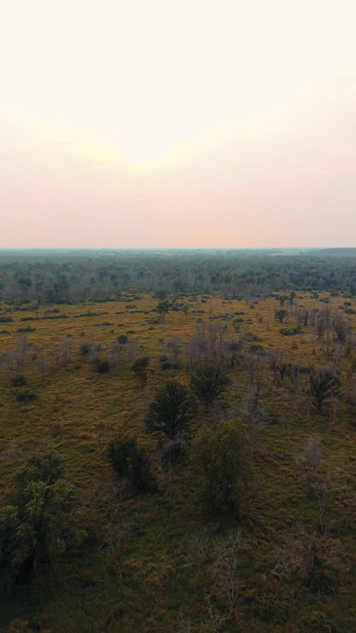 Vidstrakt landlig landskap dekket med gress og spredte trær i et naturlig område nær Black Creek, Wisconsin, USA. Vertikalt luftfoto som trekker seg tilbake
