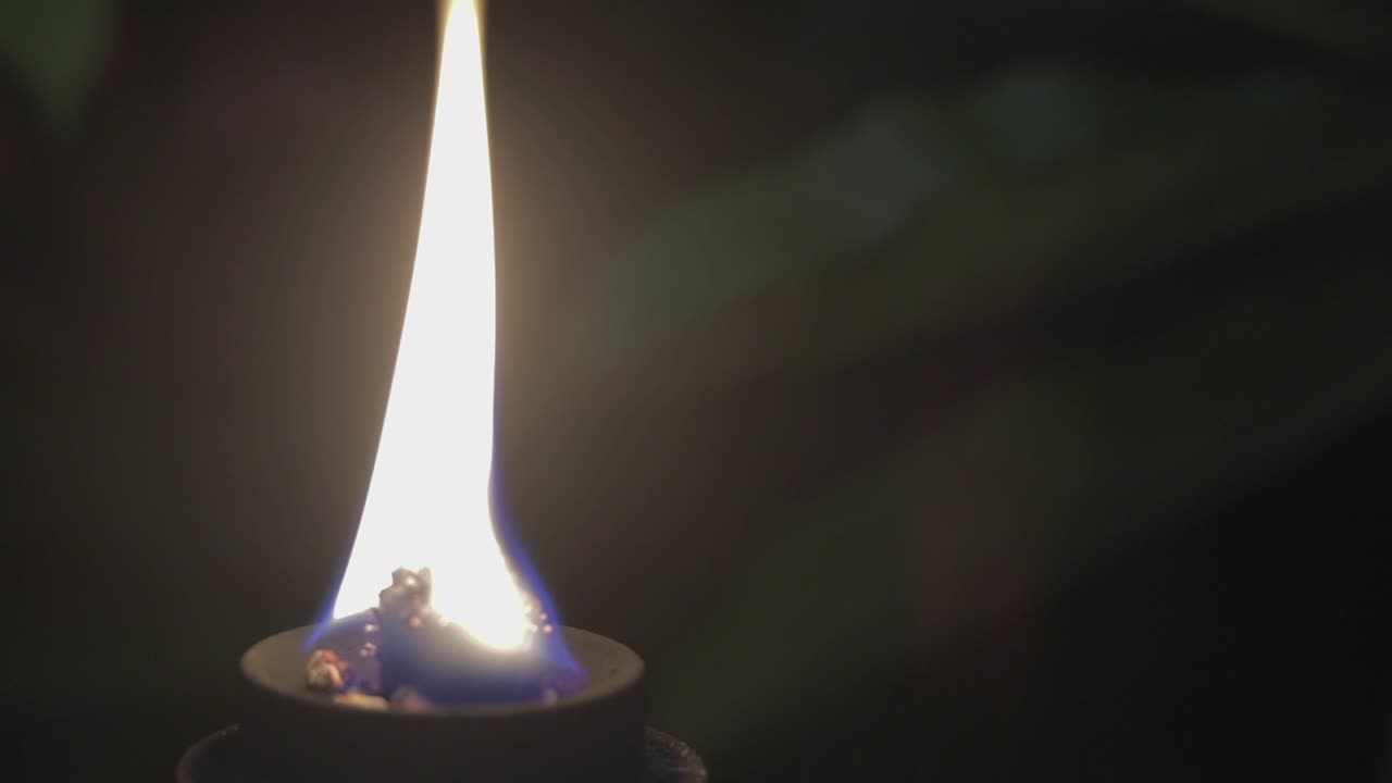 플루메리아는 어 속으로 사라지고 불은 집중됩니다.