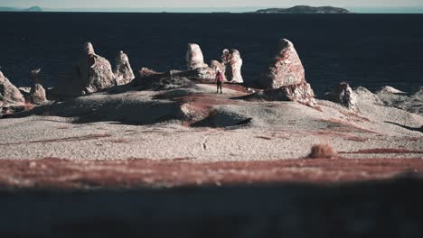 a woman with a small white dog walking between the limestone rocks of the trollholmsund, norway