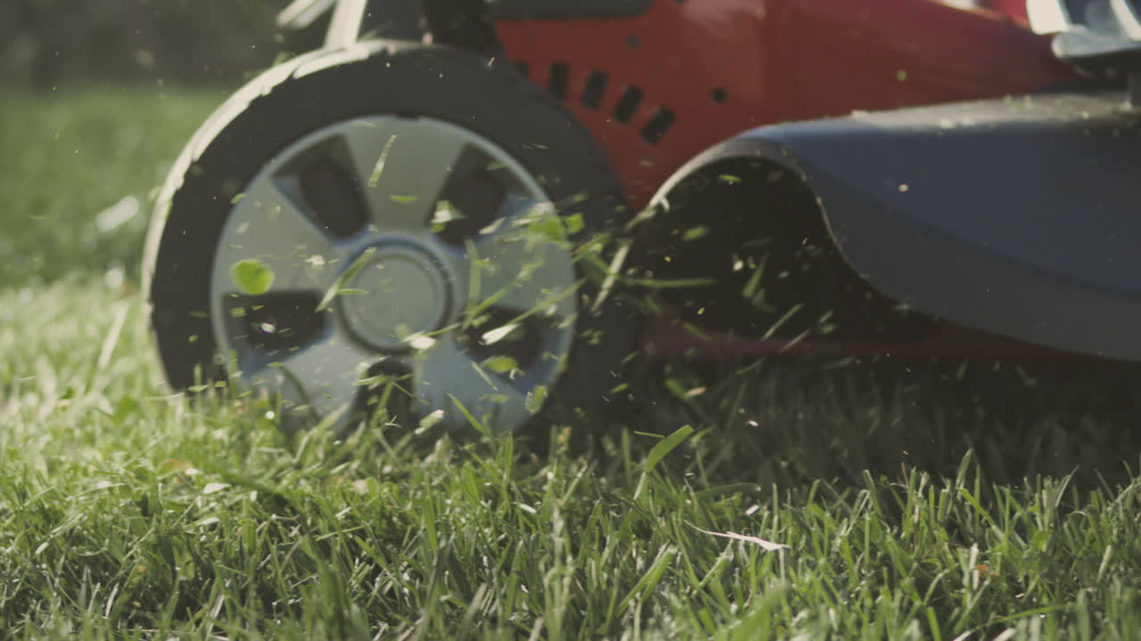 잔디를 잘라내는 잔디 기 기계