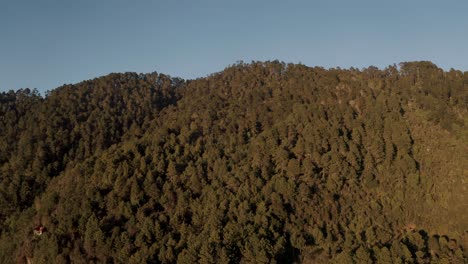 green pine tree forest on mountain range