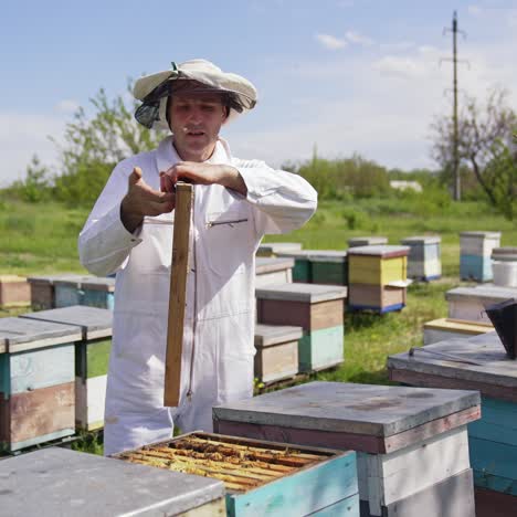 beekeeper working in hive on nature. beekeeper holding and inspecting the honeycombs on the wooden frame with bees