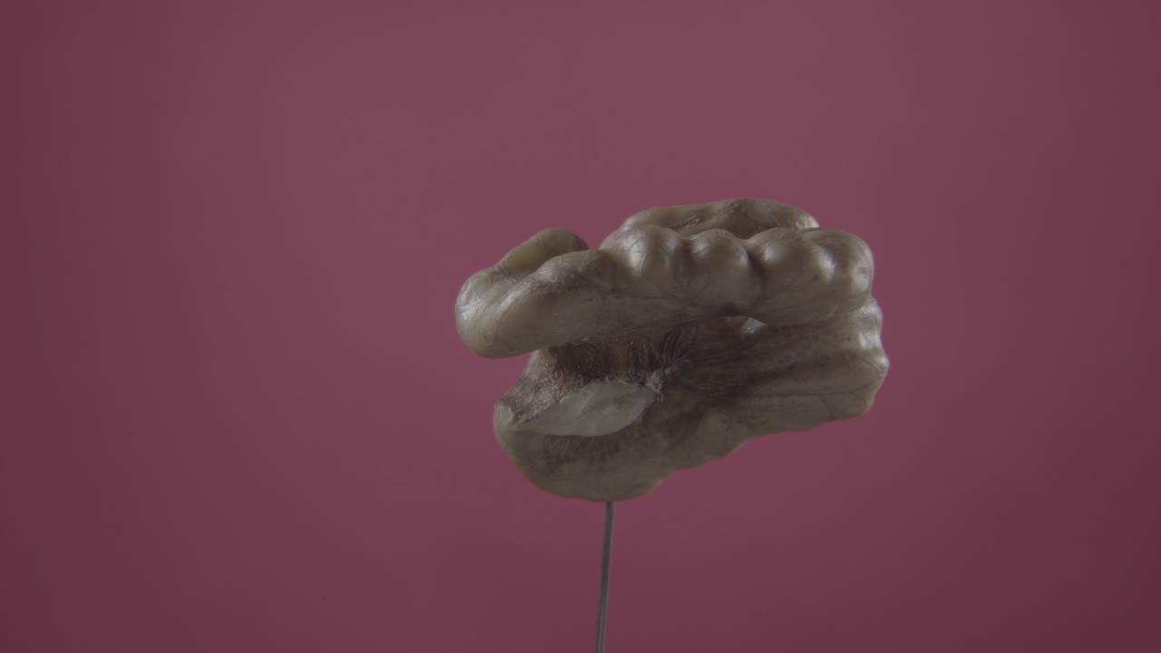 грецкий орех вращается с петлей на экране фуксии для хроматического ключа