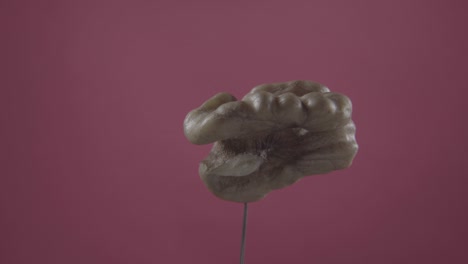 nuez girando con bucle en la pantalla de fucsia para la llave de croma