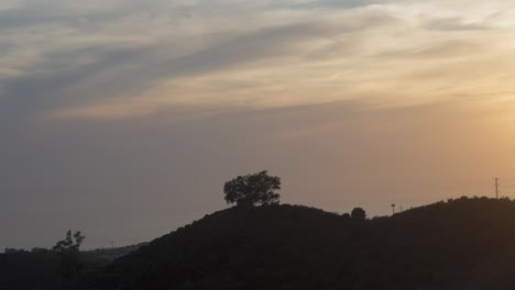 clouds moving above the hill with an isolated tree