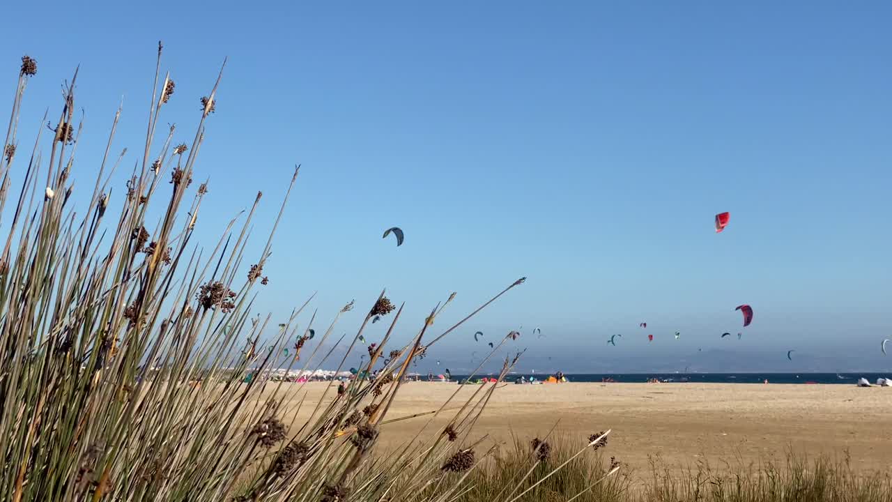 하늘에 많은 서핑 연이있는 스페인 카디즈의 타리 파 해변