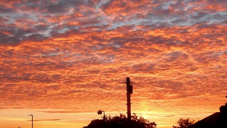 Erstaunliche-Farbe-Des-Sonnenaufgangs-In-Orangefarbenen-Wolken-Im-Zeitraffer-Mit-Sich-Schnell-Bewegenden-Silhouetten-Von-Vögeln-Im-Vordergrund