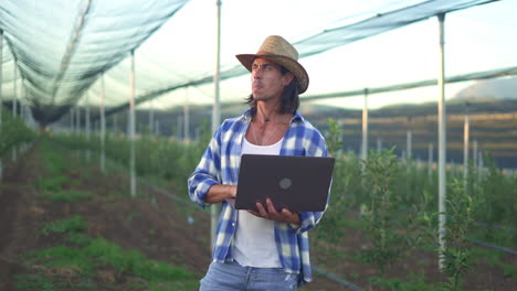 farmer utilizing laptop in a modern orchard with protective netting