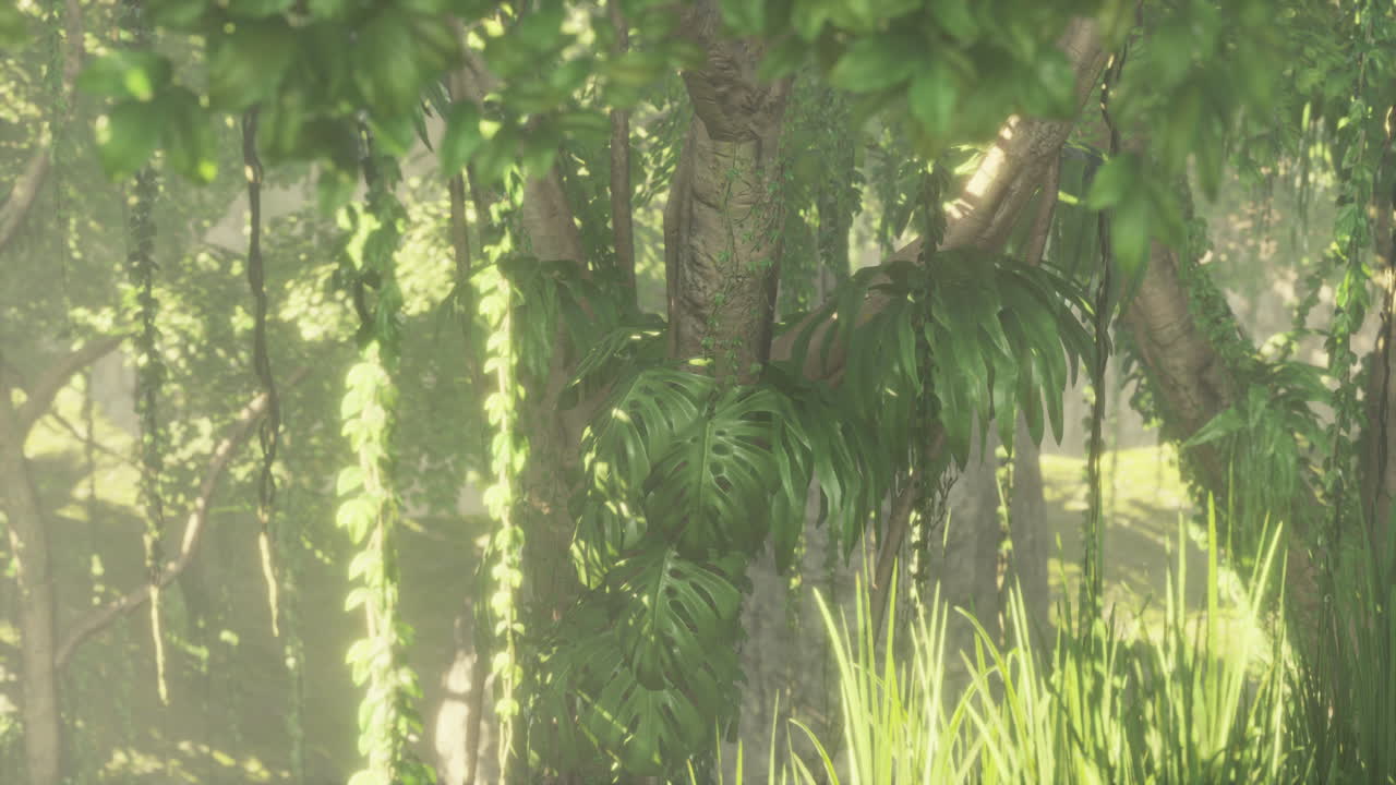 울창 한 열대 정글 숲