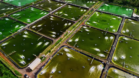 fish and lobster ponds lined with aerators in aquaculture facility, aerial view
