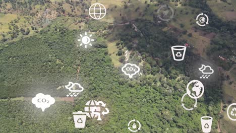 futuristic aerial drone view of the forest coverage