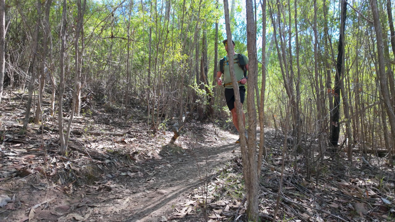 A runner moves swiftly through the forest toward the camera, framed by tall trees and soft natural light, capturing energy, movement, and outdoor adventure.