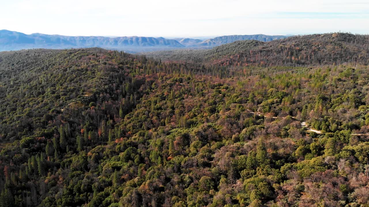 산과 숲 위로 높은 4k 공중 촬영