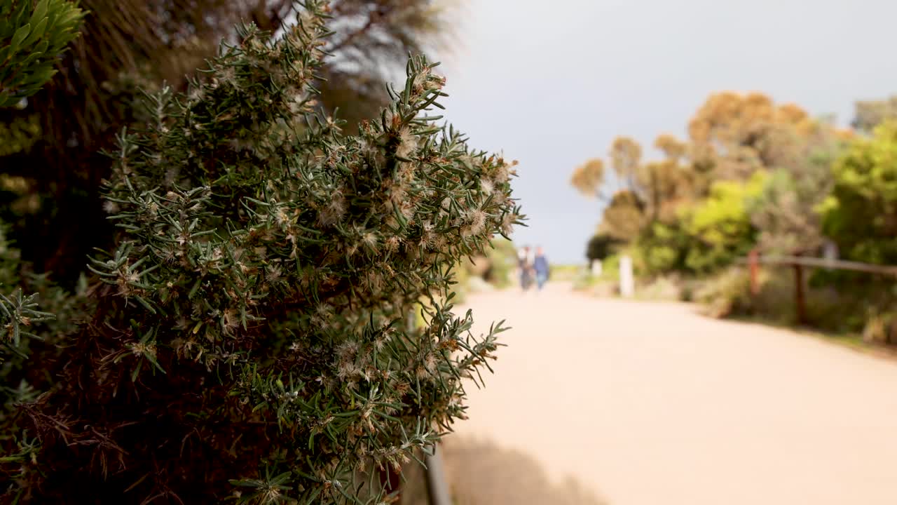 un paseo panorámico hacia las icónicas formaciones rocosas costeras