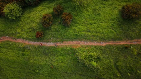 Two people running along a dirt path surrounded by greenery in slow motion