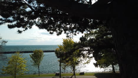 toma exterior del establecimiento de la costa del lago ontario que se inclina hacia abajo desde un árbol