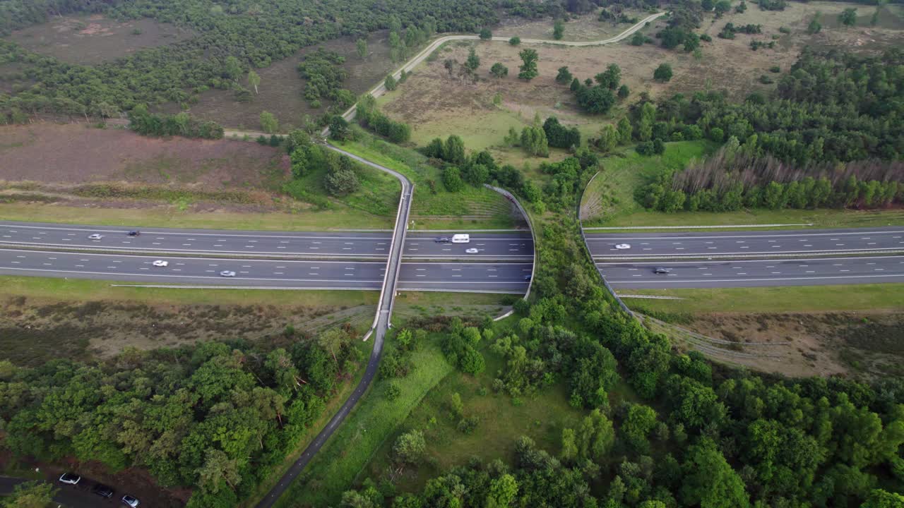 Forest aerial wildlife crossing and bike bridge forming a safe natural corridor for animals to migrate between conservancy areas. Environment nature reserve infrastructure engineering eco passage