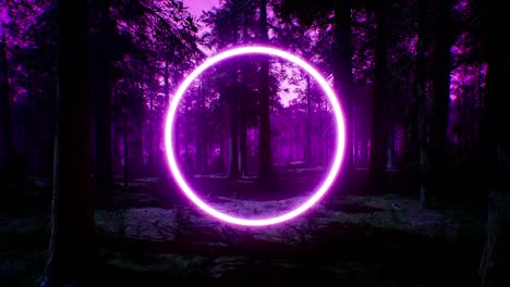 glowing purple circle light in night forest