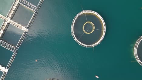 drone flies above fish farm focused on sustainable production of seafood