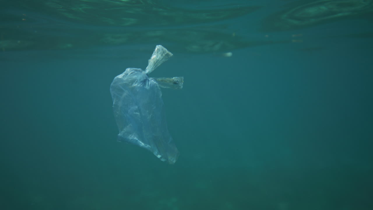 빛을 반사하는 물 에 떠다니는 플라스틱 가방
