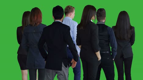 coworkers and colleagues of a business team. standing and turning towards the camera. greenscreen for chroma key