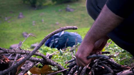 man breaking small firewoods into pieces using his hands in the forest in manali, himachal pradesh, india - close up