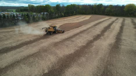 in wisconsin, a combine cuts and collects the soybean harvest