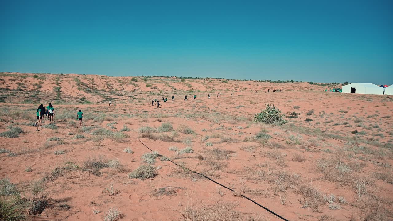 The Arabian desert landscape in the UAE, featuring patches of green plants and trees