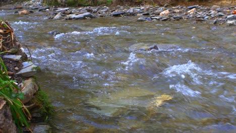 locked off view of shallow river with water going over rocks