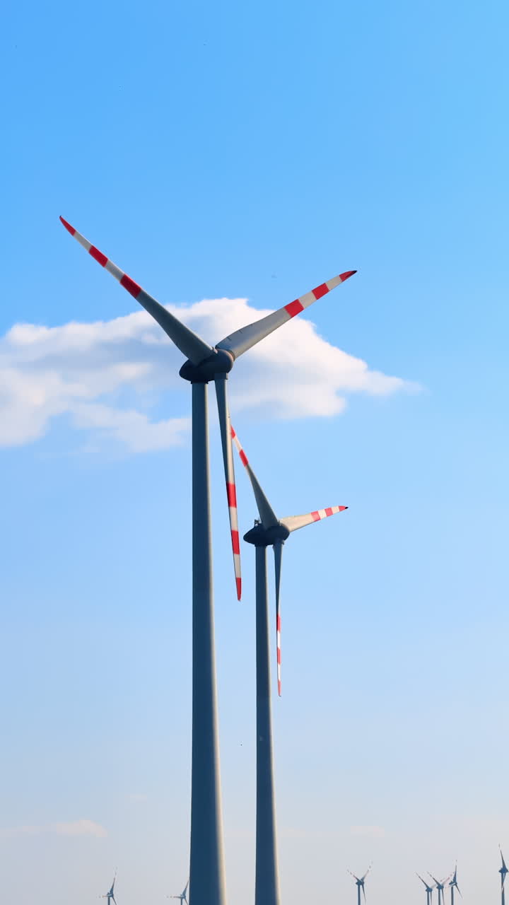 Turbines create renewable energy. Wind turbines stand tall against a bright blue sky, actively converting wind into sustainable energy