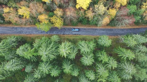 Vista-Aérea-Del-Viaje-En-Automóvil-Por-Una-Carretera-Oscura-Entre-Un-Colorido-Otoño-Y-Un-Bosque-Siempre-Verde