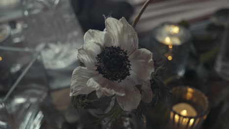 white drying flower on table for decoration during wedding event