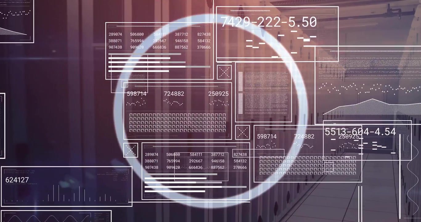 Animation of data processing over computer servers