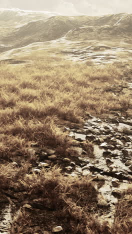 serene mountain grassland landscape