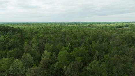 Expansive-aerial-view-of-William-B