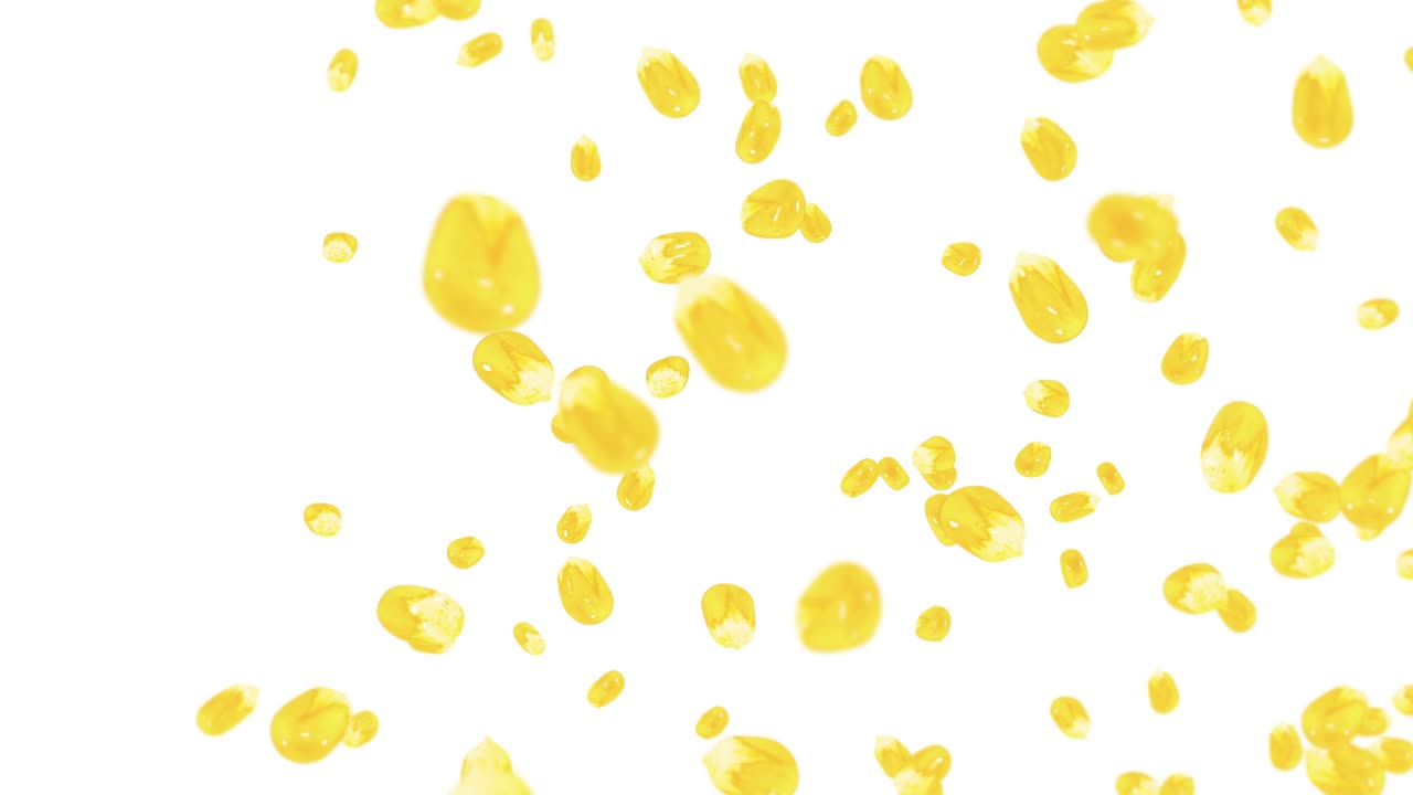 색 배경에 많은 옥수수 어리를 날려. 노란 달한 옥수스 씨. 채식주의자. 건강한 음식. 옥수수가 회전하는 3d 루프 애니메이션.