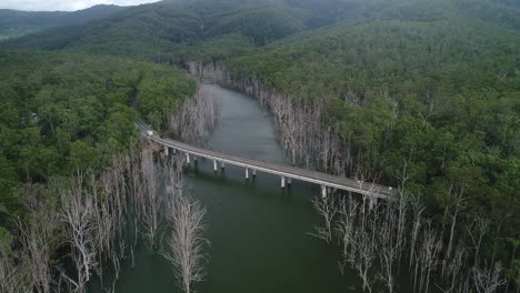 Luftaufnahme-Von-Autos-Und-Lastwagen,-Die-Auf-Einer-Brücke-über-Einen-Großen-Fluss-Mitten-Im-Wald-Vorbeifahren