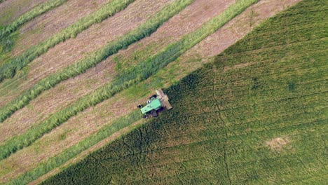 Combine-harvesting-Wheat-for-silage,-Aerial-view